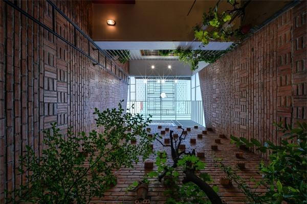 Mẫu nhà cấp 4 mang đậm phong cách thập niên 1990 nhưng vẫn không thiếu góc sống ảo xanh mướt hiện đại