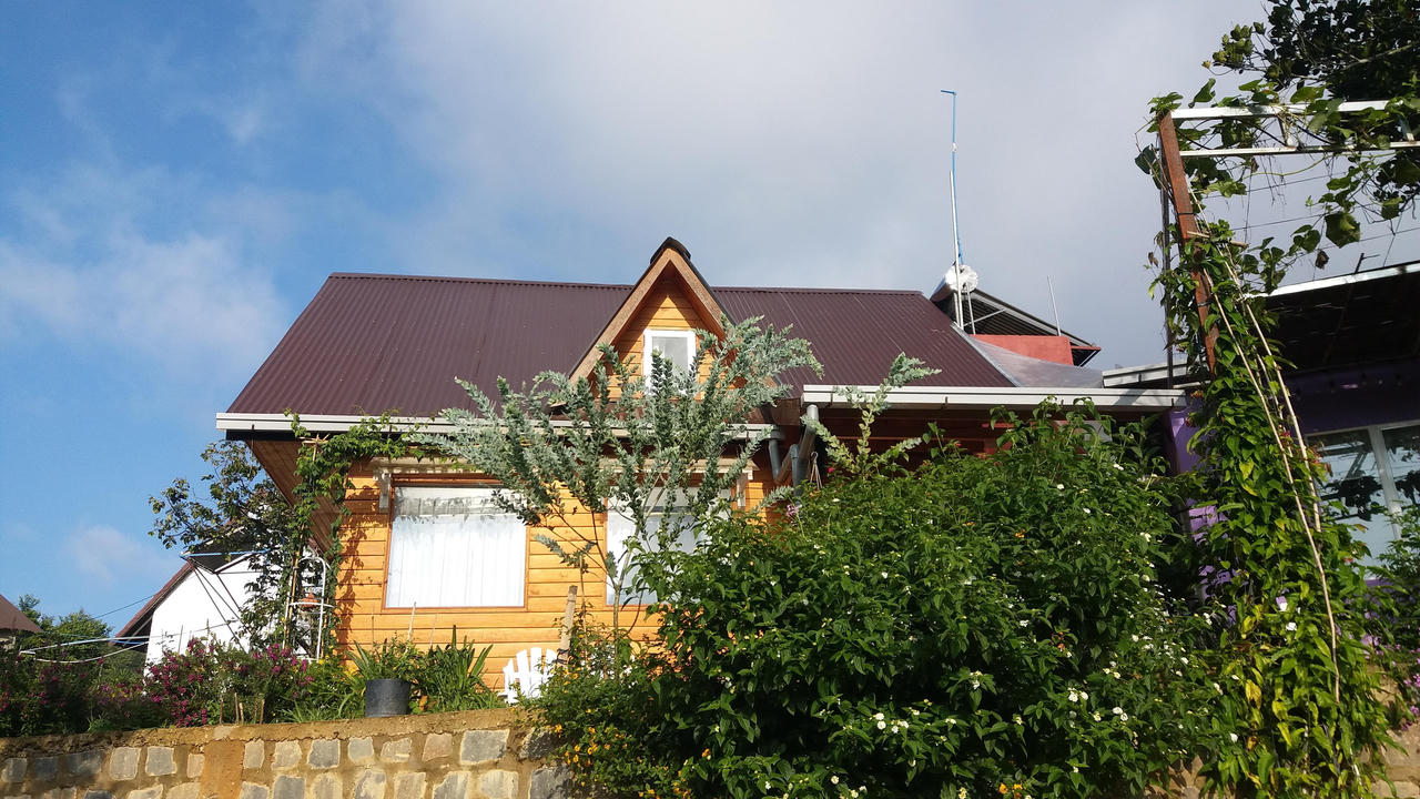 Bỏ phố về Đà Lạt dựng nhà gỗ ven rừng, YouTuber U60 làm kênh du lịch ngàn người theo dõi