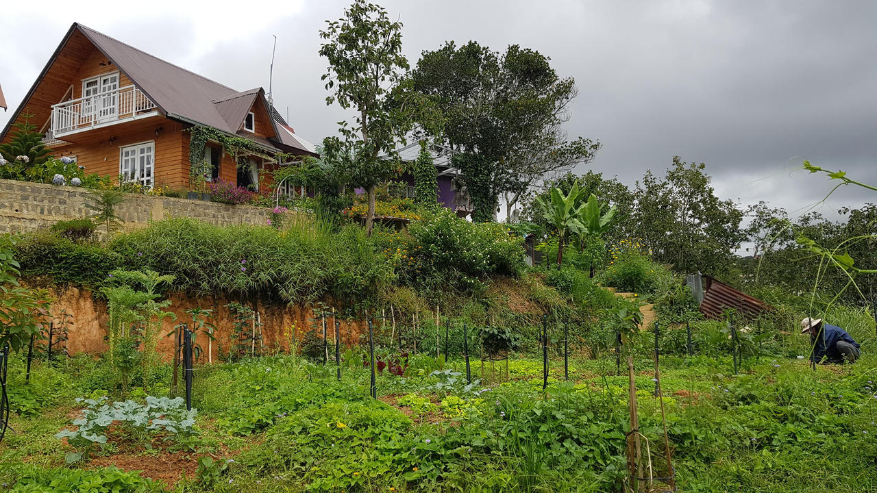 Bỏ phố về Đà Lạt dựng nhà gỗ ven rừng, YouTuber U60 làm kênh du lịch ngàn người theo dõi