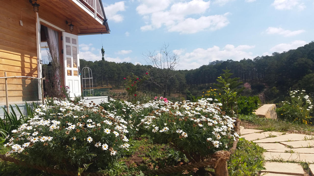 Bỏ phố về Đà Lạt dựng nhà gỗ ven rừng, YouTuber U60 làm kênh du lịch ngàn người theo dõi