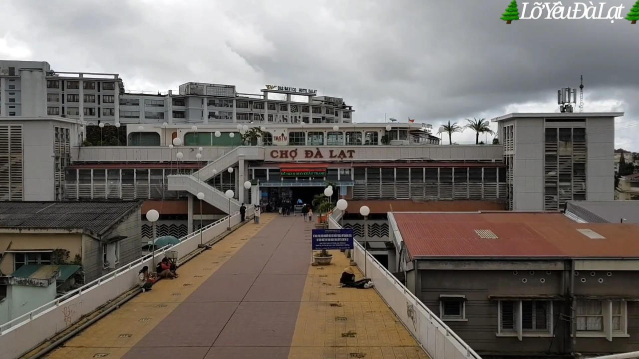 Bỏ phố về Đà Lạt dựng nhà gỗ ven rừng, YouTuber U60 làm kênh du lịch ngàn người theo dõi