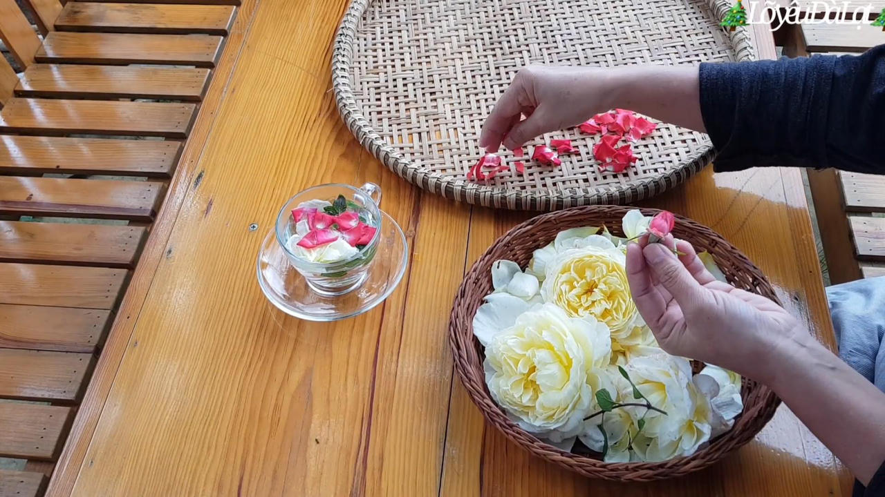 Bỏ phố về Đà Lạt dựng nhà gỗ ven rừng, YouTuber U60 làm kênh du lịch ngàn người theo dõi