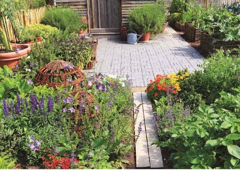 Vườn hữu dụng cho nhà bếp