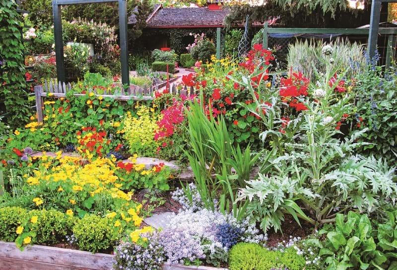 Vườn hữu dụng cho nhà bếp