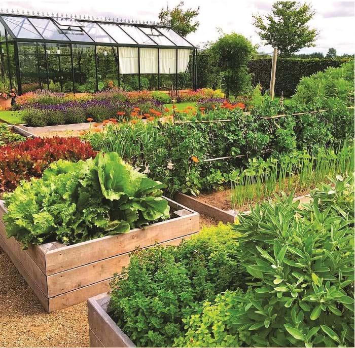 Vườn hữu dụng cho nhà bếp