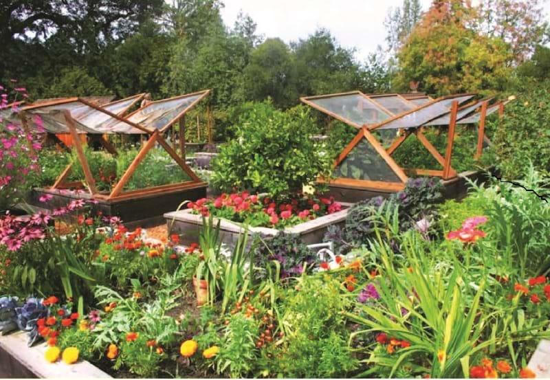 Vườn hữu dụng cho nhà bếp