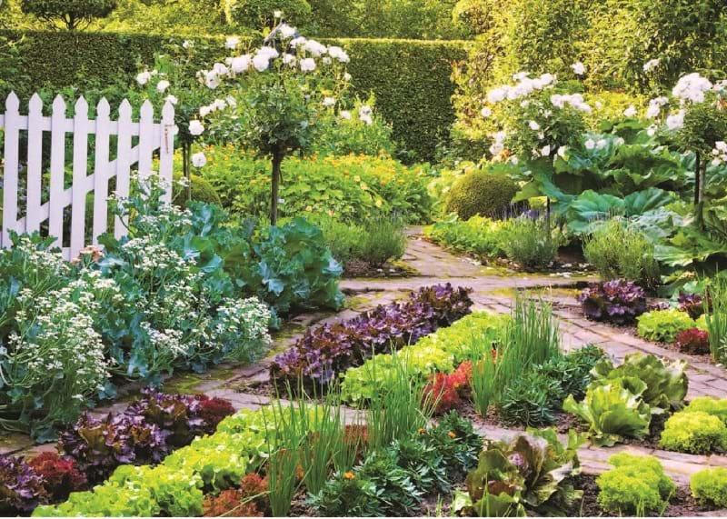 Vườn hữu dụng cho nhà bếp