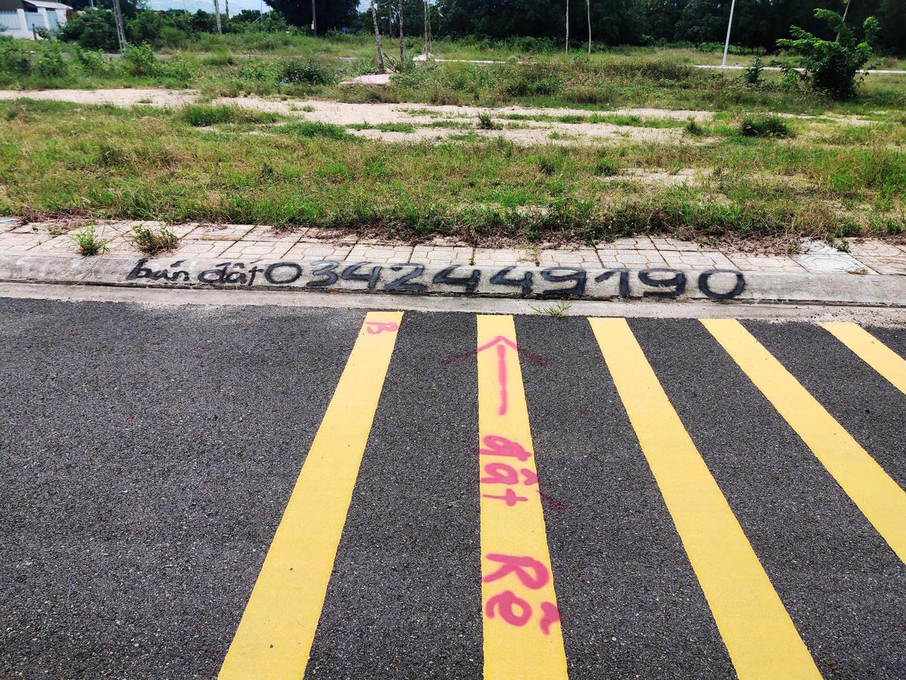 Tung tin 'đại bàng chúa làm tổ' để kích giá đất ở Nha Trang