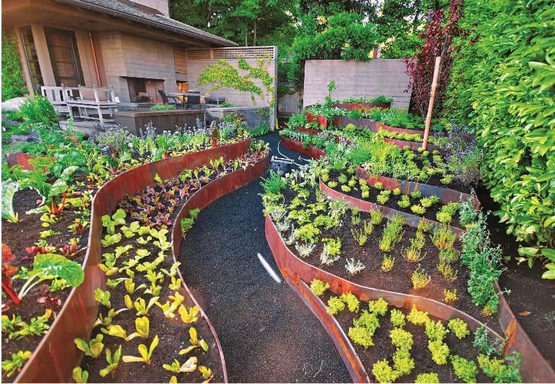 Vườn hữu dụng cho nhà bếp