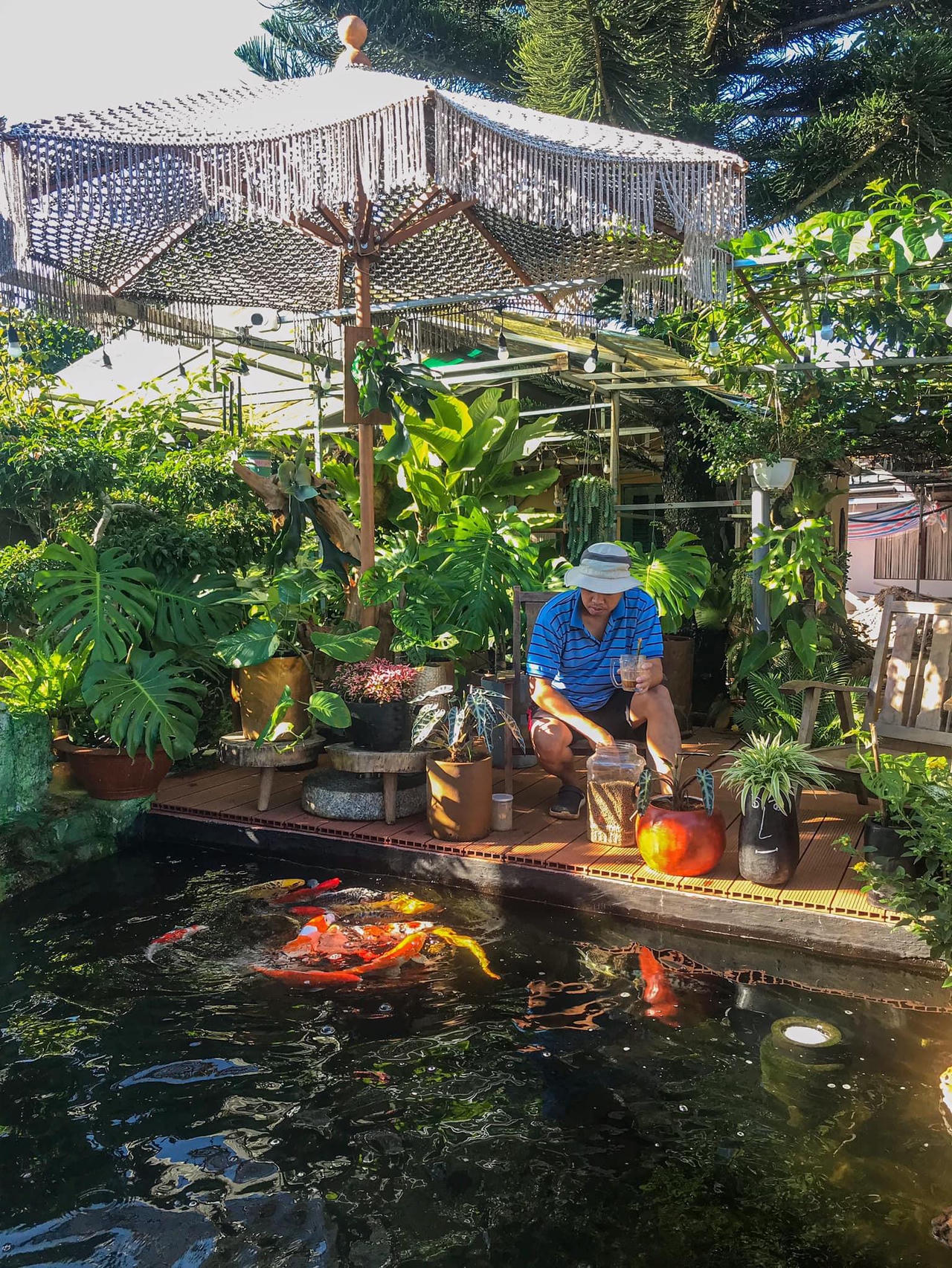 Về quê 'trốn dịch', 8x tự tay xây homestay đẹp như Đà Lạt, làm hồ cá Koi đẹp mê ly