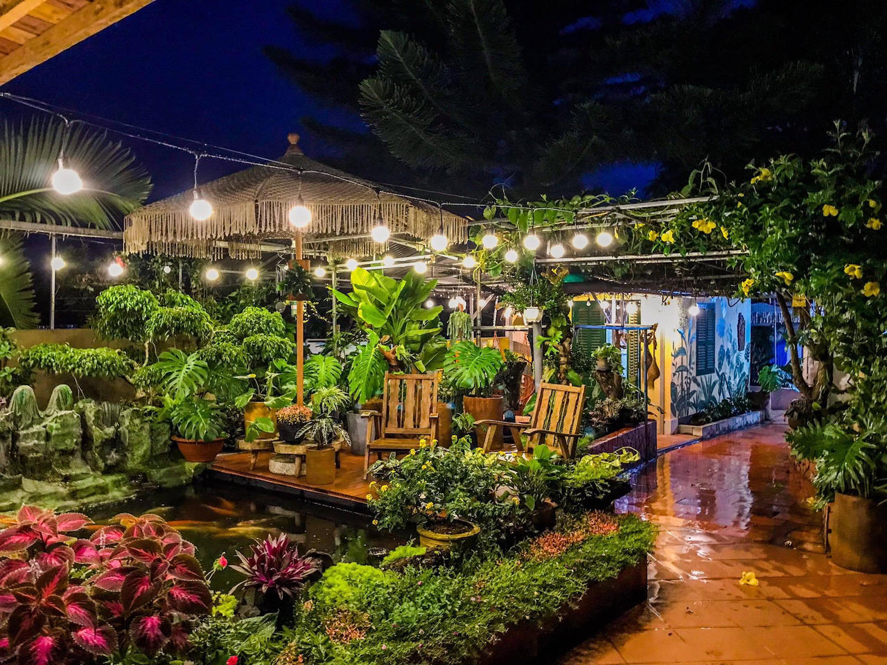 Về quê 'trốn dịch', 8x tự tay xây homestay đẹp như Đà Lạt, làm hồ cá Koi đẹp mê ly