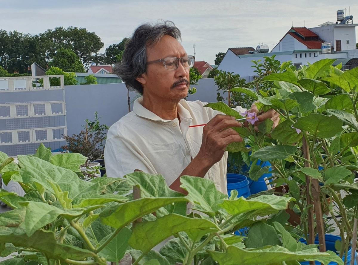 Vườn sân thượng trồng hàng chục giống rau ngoại