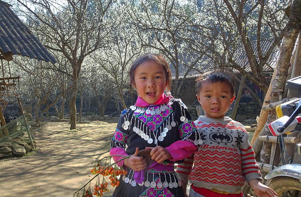 Ngắm hoa mận nở trắng trời ở Tả Van Chư