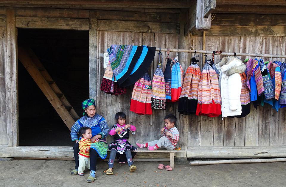 Ngắm hoa mận nở trắng trời ở Tả Van Chư