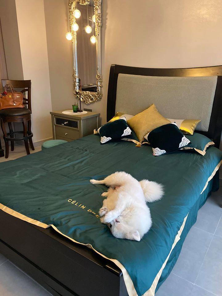 Căn nhà hoành tráng như khách sạn 5 sao của Minh Hà, nữ MC 'Cà phê sáng' của VTV