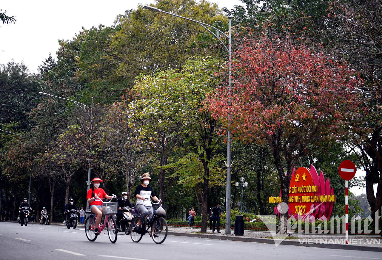 Những con đường hoa lá đẹp nhất Hà Nội tháng 3