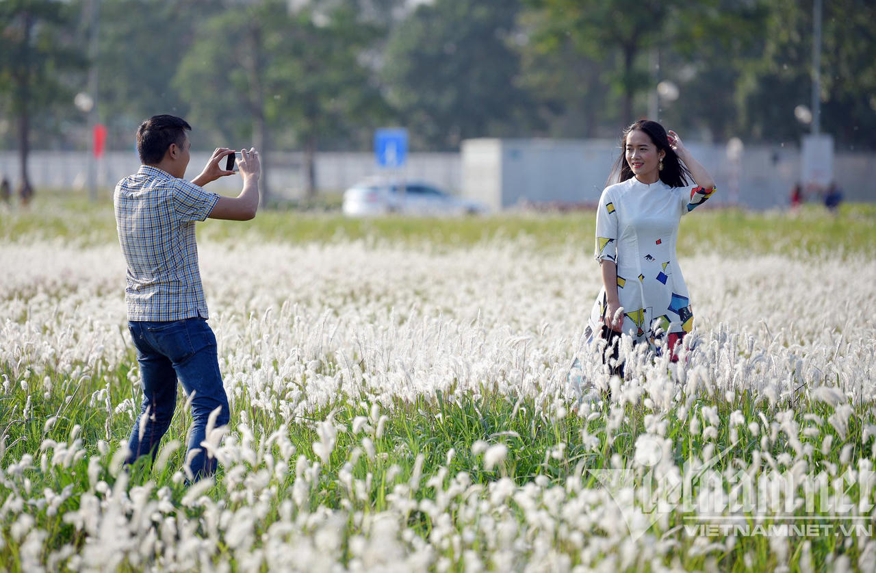 Những con đường hoa lá đẹp nhất Hà Nội tháng 3