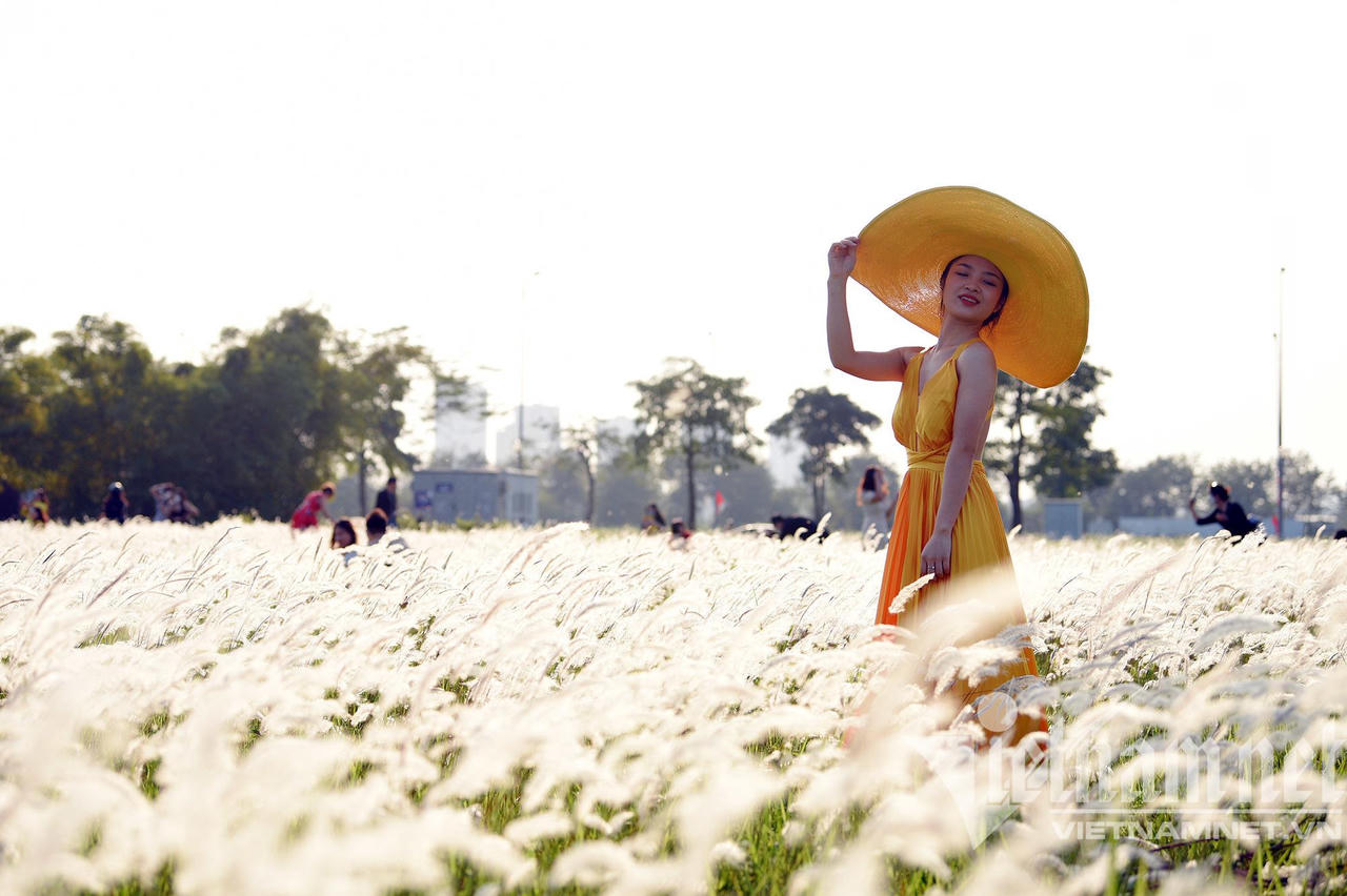 Những con đường hoa lá đẹp nhất Hà Nội tháng 3