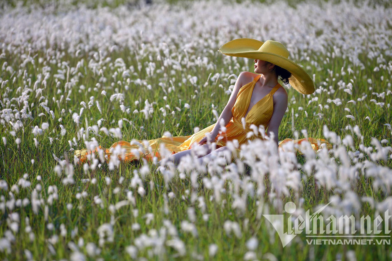 Những con đường hoa lá đẹp nhất Hà Nội tháng 3