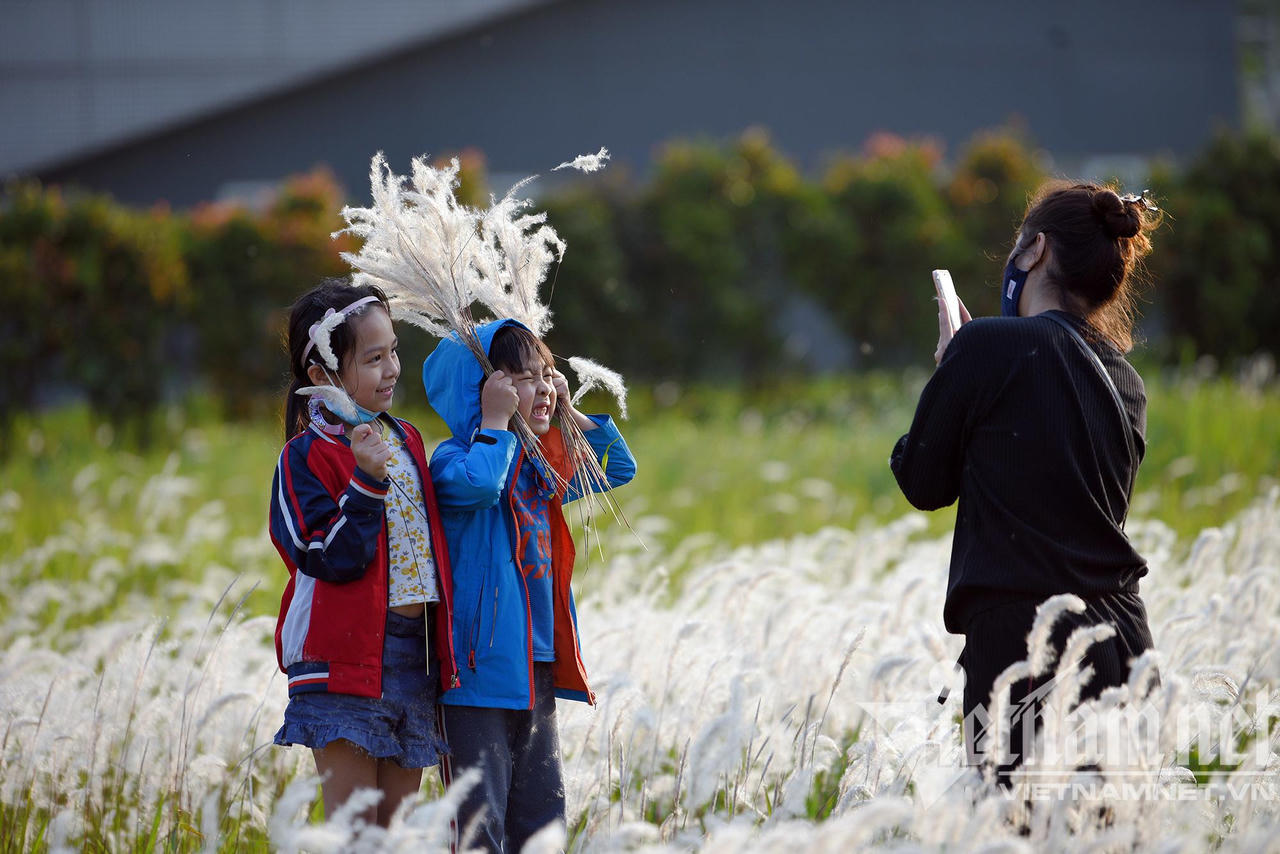 Những con đường hoa lá đẹp nhất Hà Nội tháng 3