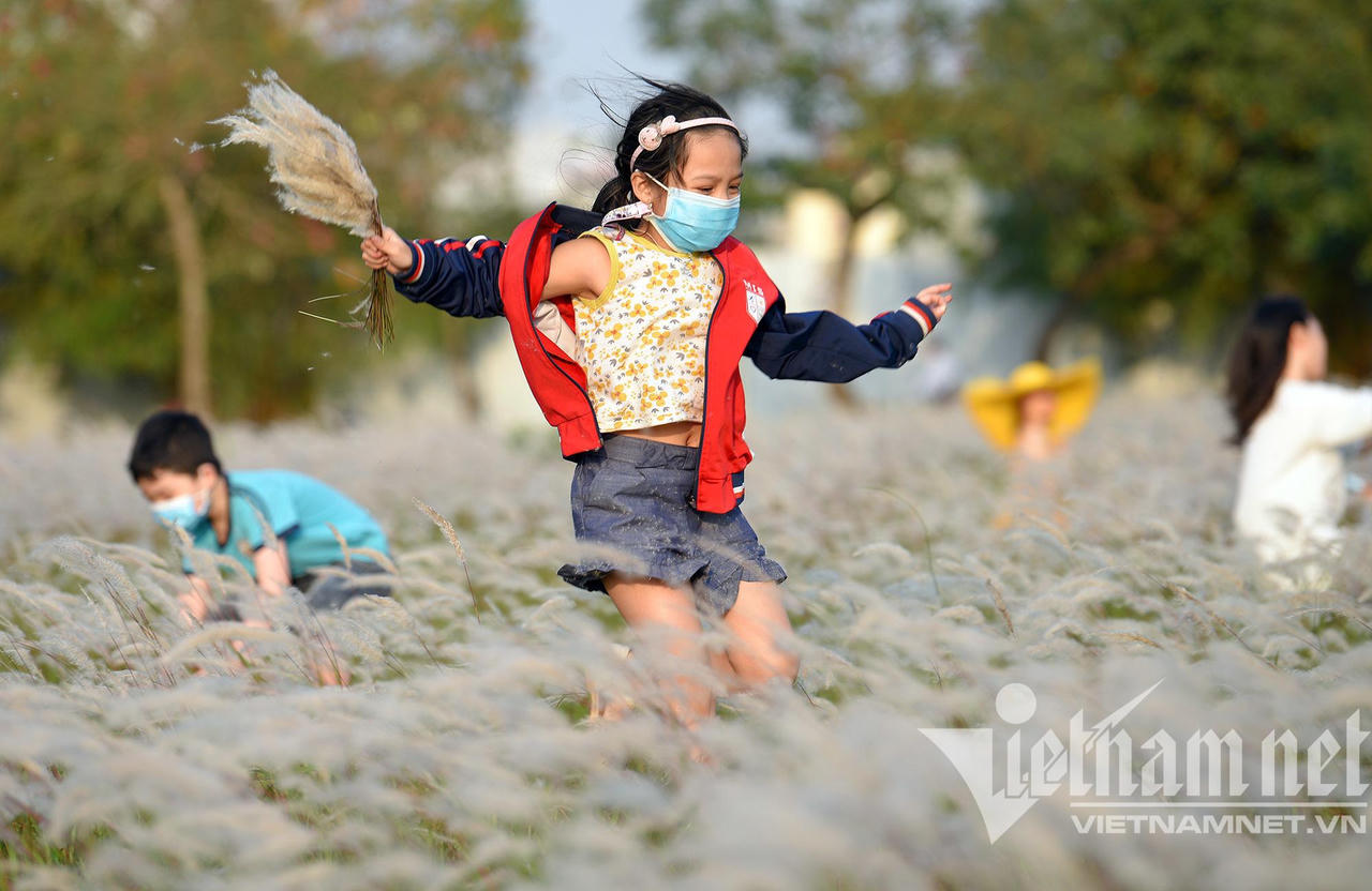 Những con đường hoa lá đẹp nhất Hà Nội tháng 3