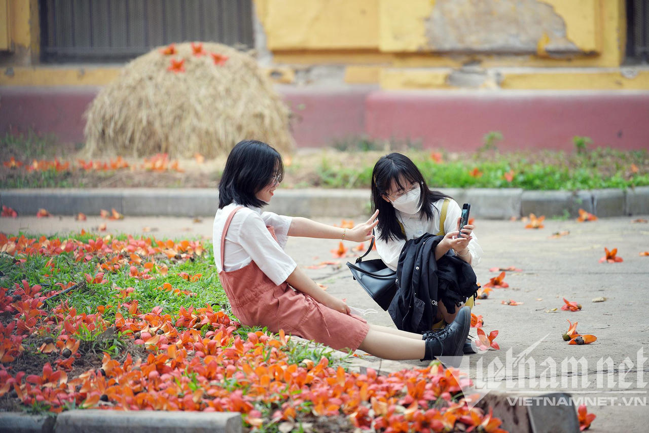 Những con đường hoa lá đẹp nhất Hà Nội tháng 3