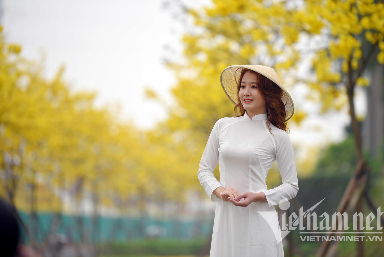 Những con đường hoa lá đẹp nhất Hà Nội tháng 3