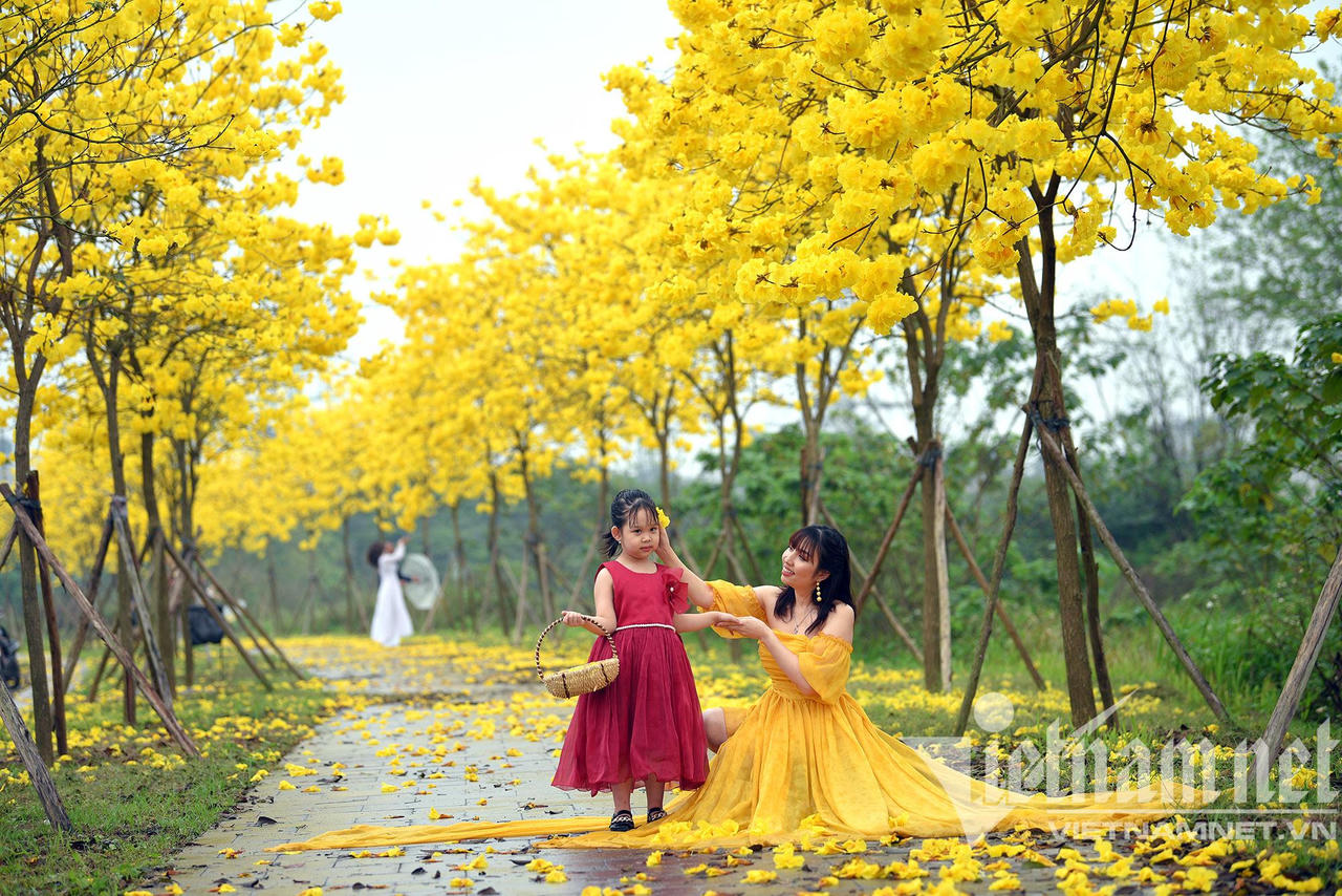 Những con đường hoa lá đẹp nhất Hà Nội tháng 3