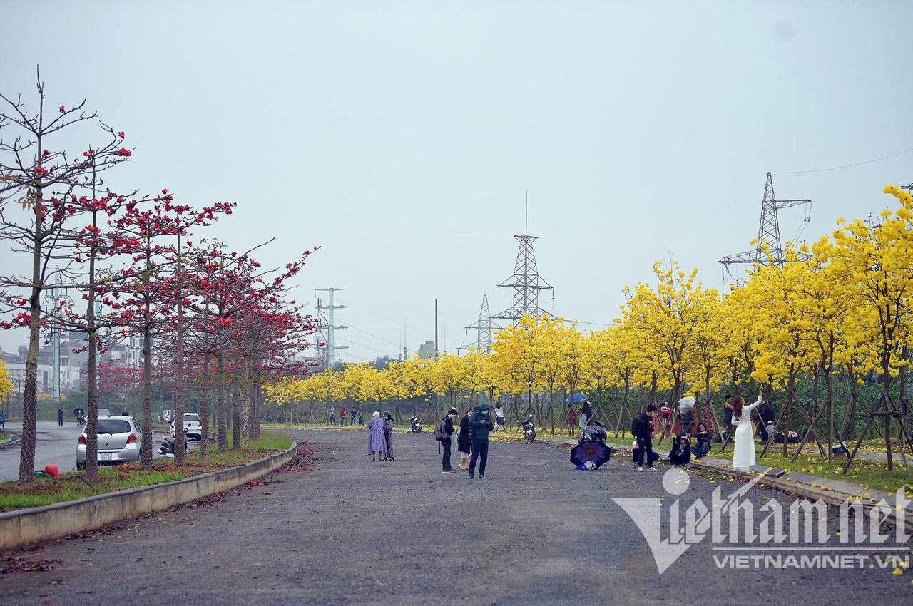 Những con đường hoa lá đẹp nhất Hà Nội tháng 3
