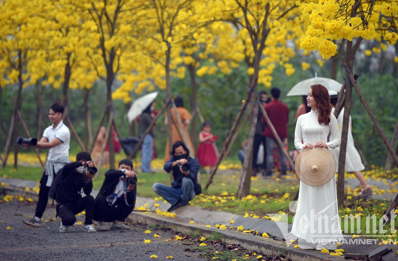 Những con đường hoa lá đẹp nhất Hà Nội tháng 3