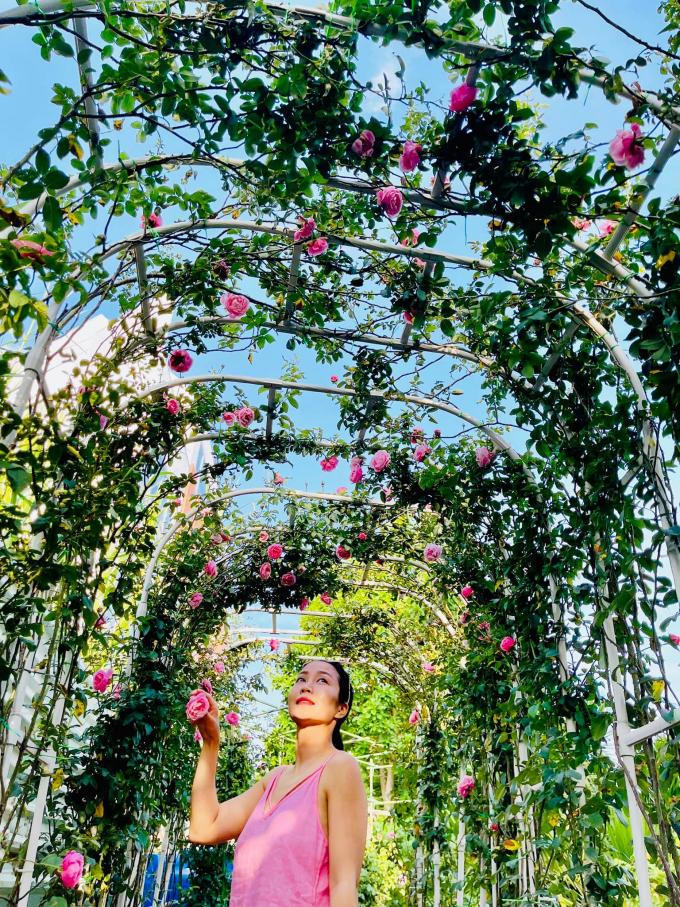 Khu vuon toan hoa hong quy trong biet thu cua Oc Thanh Van-Hinh-6