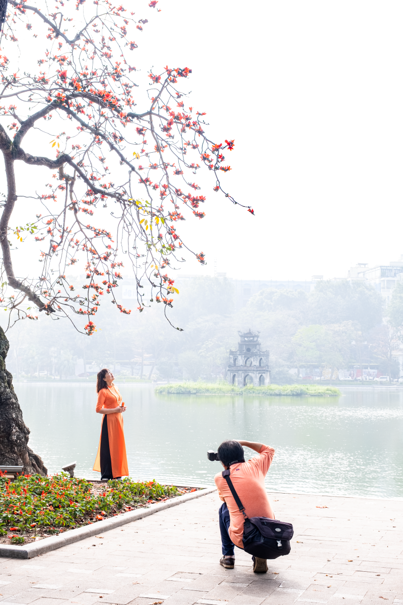 Hà Nội: Cơn sốt check-in cây gạo Bờ Hồ đẹp đến ngỡ ngàng