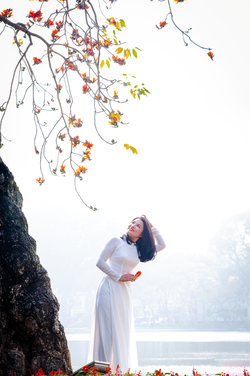 Hà Nội: Cơn sốt check-in cây gạo Bờ Hồ đẹp đến ngỡ ngàng