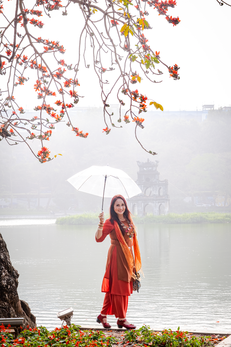 Hà Nội: Cơn sốt check-in cây gạo Bờ Hồ đẹp đến ngỡ ngàng