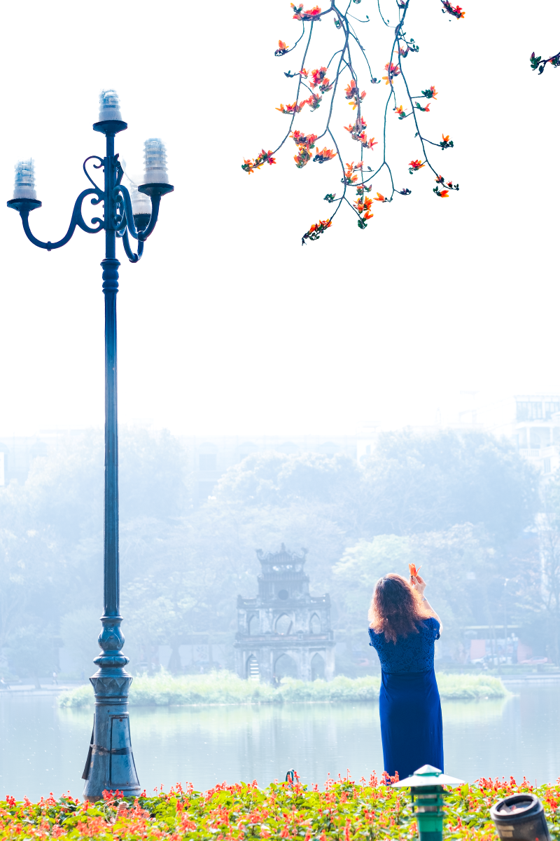 Hà Nội: Cơn sốt check-in cây gạo Bờ Hồ đẹp đến ngỡ ngàng