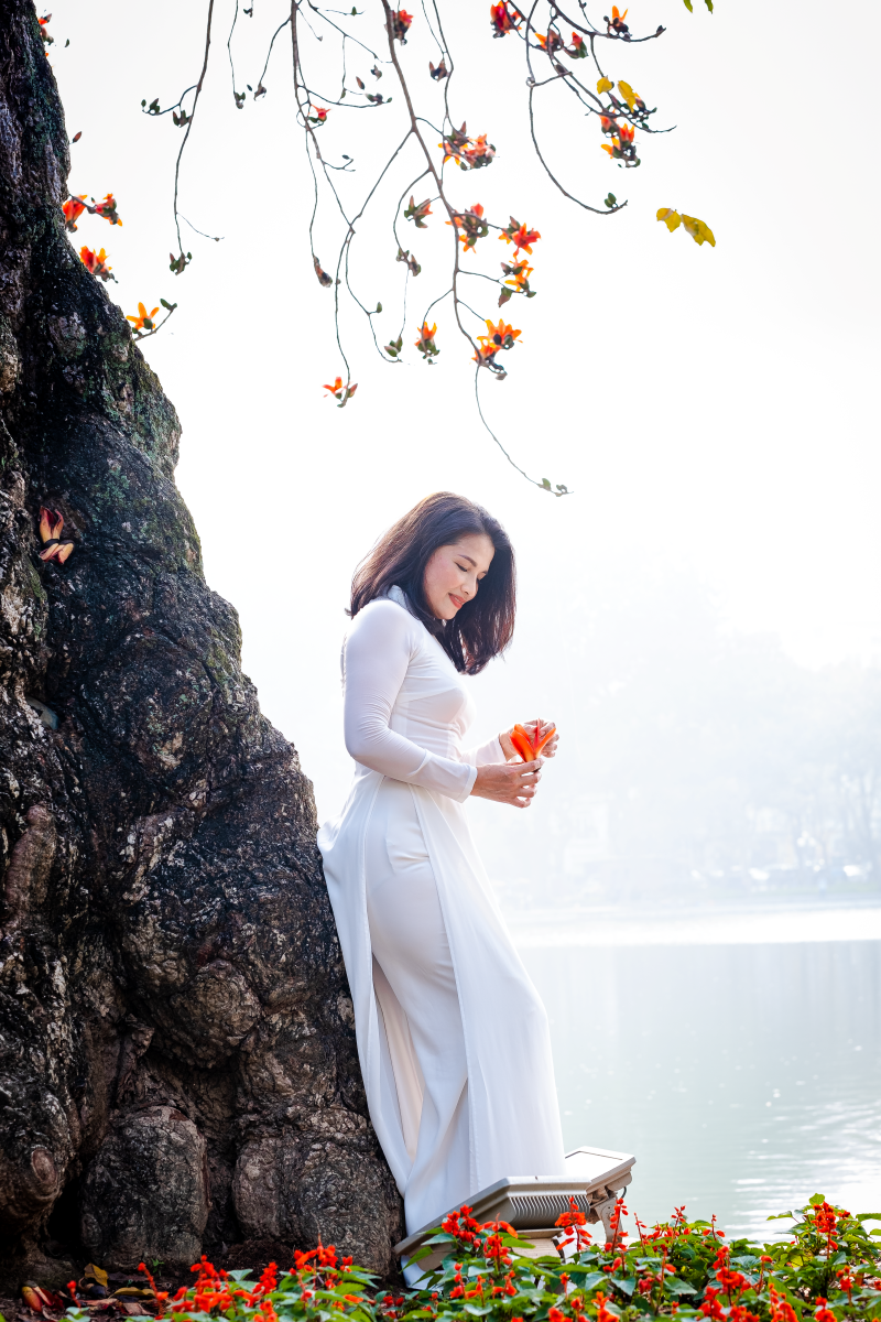 Hà Nội: Cơn sốt check-in cây gạo Bờ Hồ đẹp đến ngỡ ngàng