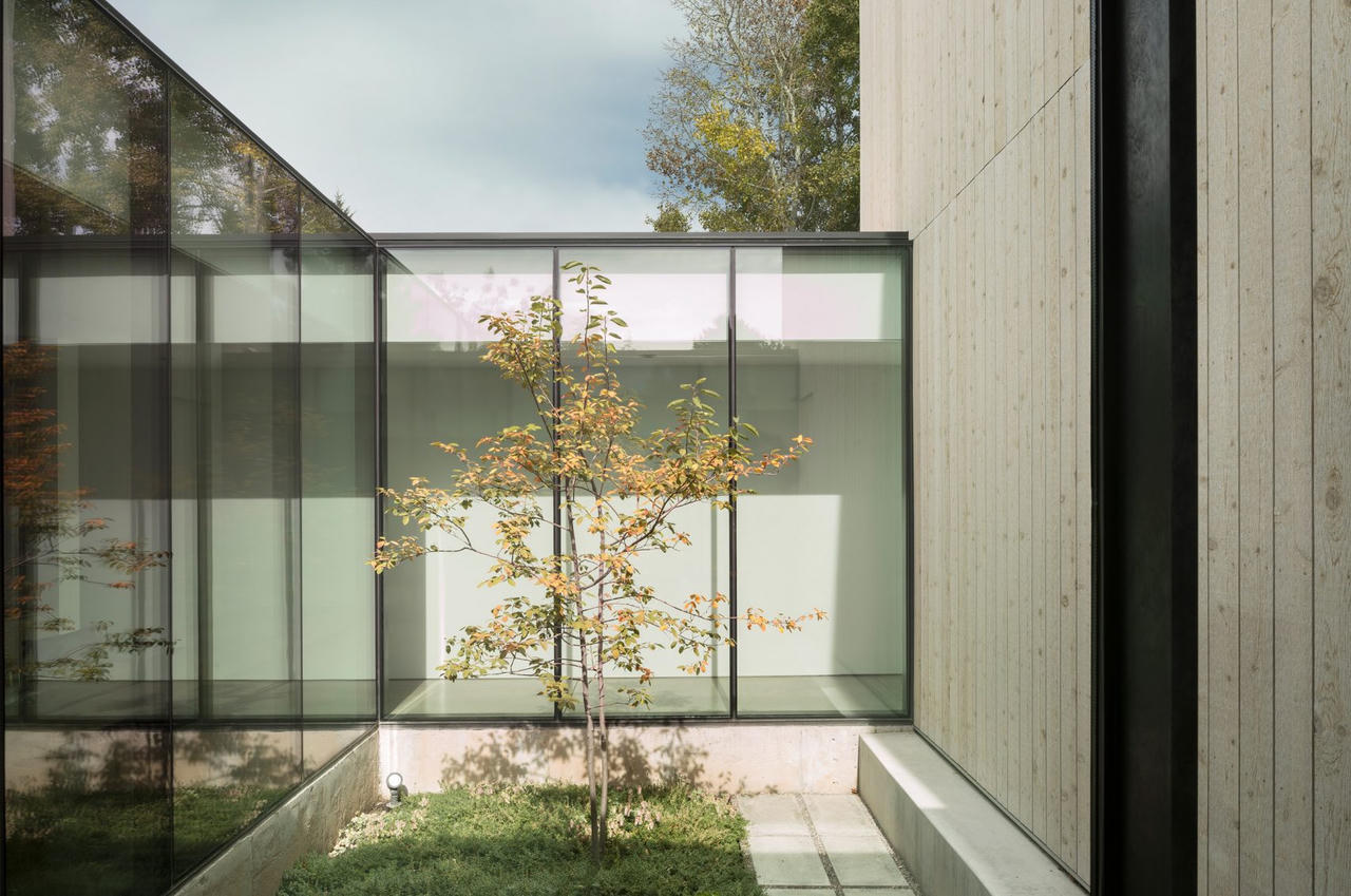 Kinh nghiệm xây sân vườn bên trong nhà trên khắp thế giới