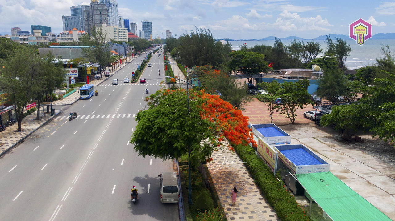 Cây phượng độc, lạ ở Vũng Tàu thu hút nhiều người