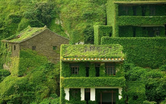 Ngôi làng bất hạnh ở Trung Quốc: Giàu có bậc nhất nhưng bị bỏ hoang, hiện tại trở thành viên ngọc xanh được du khách săn đón - Ảnh 5.