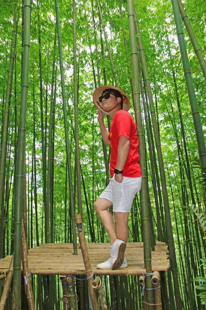 Phát hiện rừng trúc kỳ vĩ đẹp hơn cả cảnh phim kiếm hiệp ngay tại Việt Nam