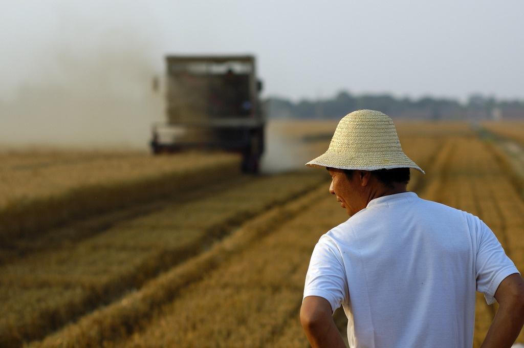 nguoi Han Quoc ve nong thon anh 1