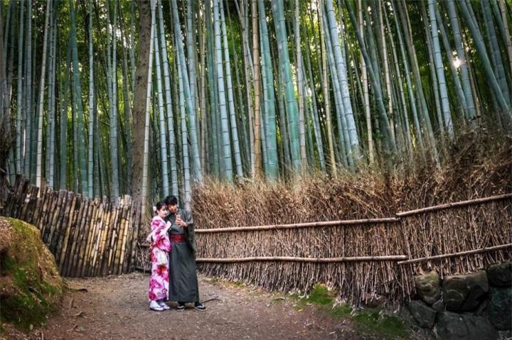 Khu rừng đẹp bậc nhất thế giới, nơi không máy ảnh nào tả hết được sự hấp dẫn - Tạp chí Doanh nghiệp Việt Nam