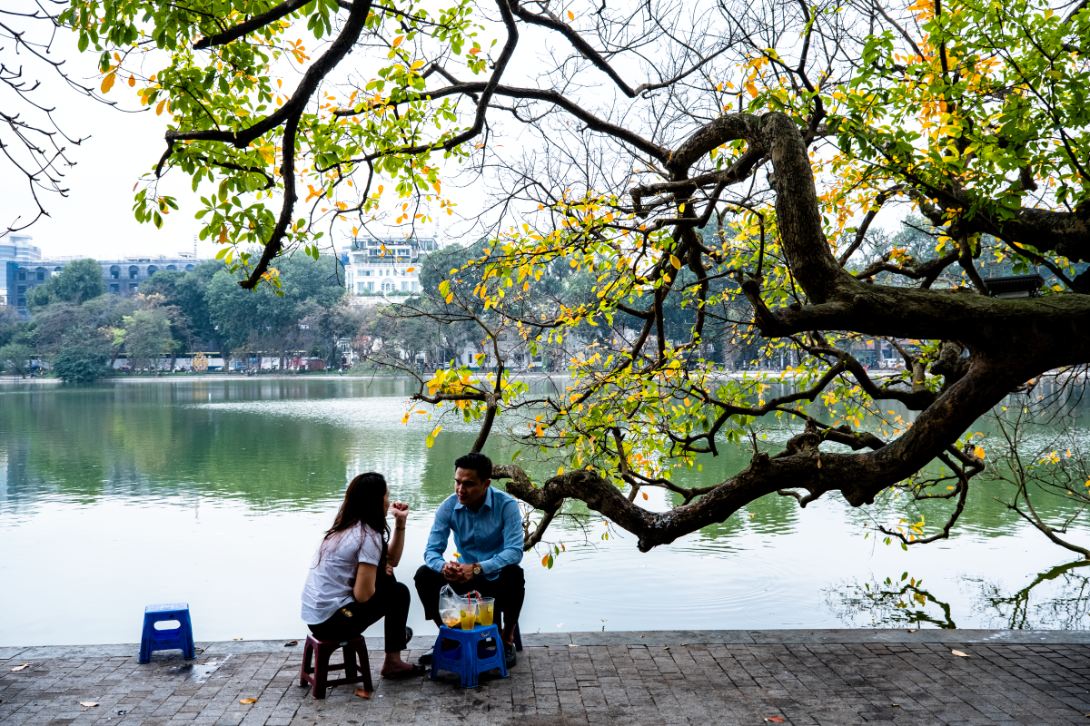 Chớp mắt mùa hoa lộc vừng