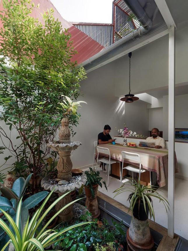 Ấn tượng với ý tưởng bố trí khu vườn chống nóng ngày hè cho nhà phố