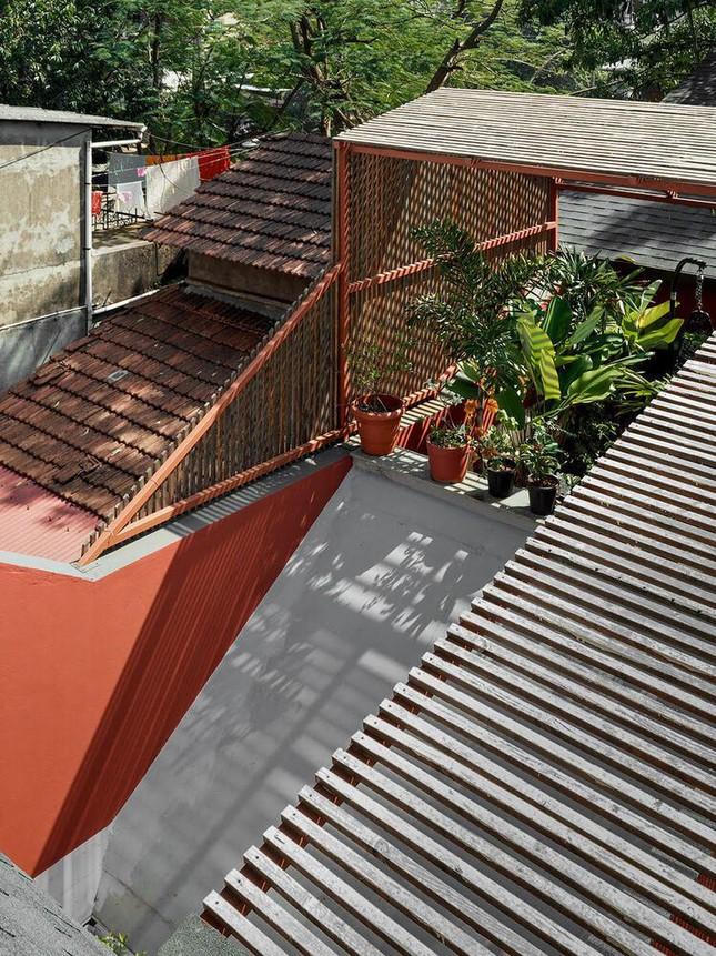 Ấn tượng với ý tưởng bố trí khu vườn chống nóng ngày hè cho nhà phố