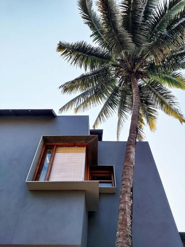 Ấn tượng với ý tưởng bố trí khu vườn chống nóng ngày hè cho nhà phố