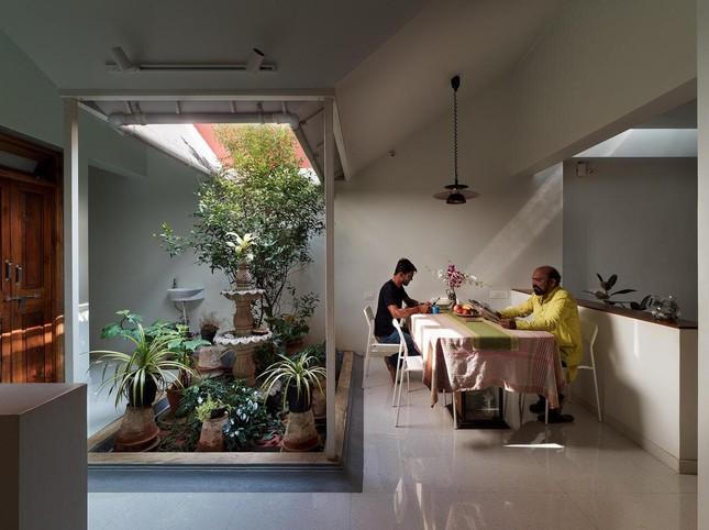 Ấn tượng với ý tưởng bố trí khu vườn chống nóng ngày hè cho nhà phố