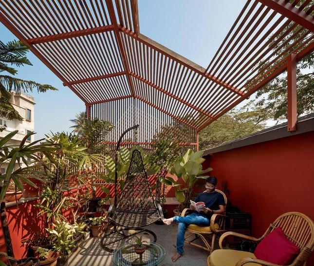 Ấn tượng với ý tưởng bố trí khu vườn chống nóng ngày hè cho nhà phố