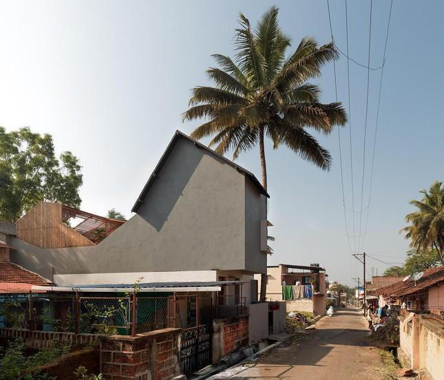 Ấn tượng với ý tưởng bố trí khu vườn chống nóng ngày hè cho nhà phố