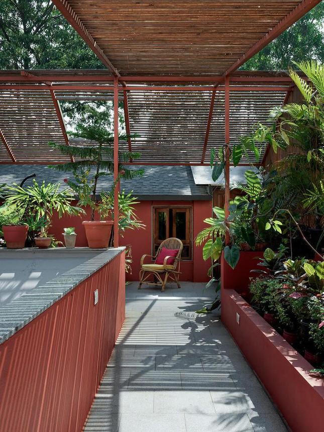 Ấn tượng với ý tưởng bố trí khu vườn chống nóng ngày hè cho nhà phố